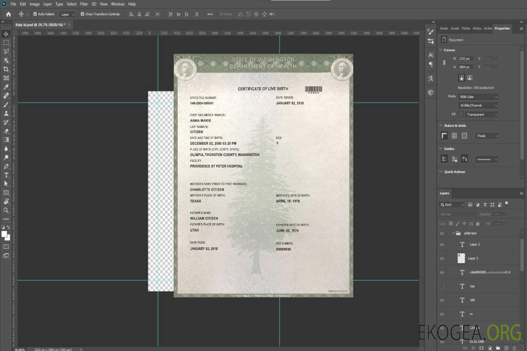 Modèle de certificat de naissance de l'État de Washington aux États-Unis au format PSD template Modèle de certificat de naissance de l'État de Washington aux États-Unis au format PSD template